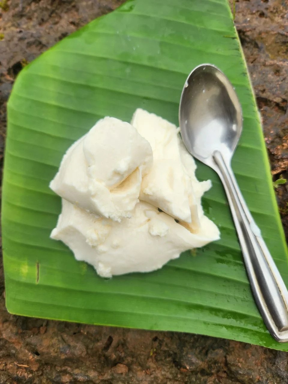 Steamed Colostrum Pudding